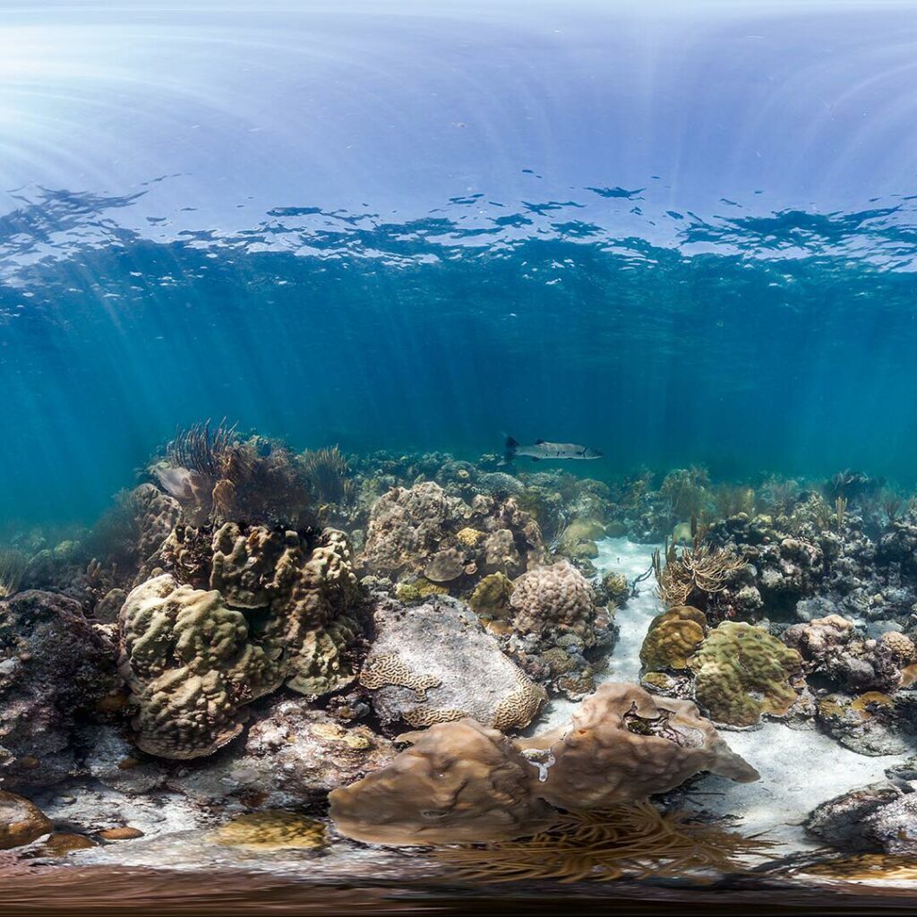 Florida Keys National Marine Sanctuary 1