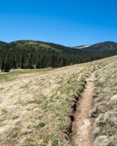 Explore The White Mountains Of Arizona My Guidebook With Map Greer Arizona 1 240x300