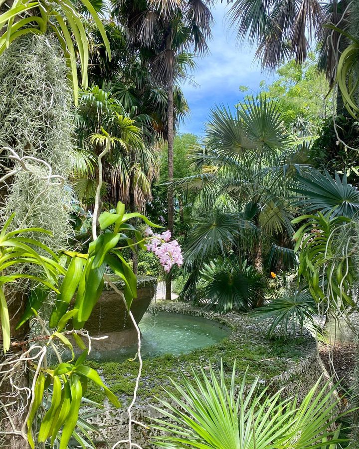 Miami Beach Botanical Garden 1