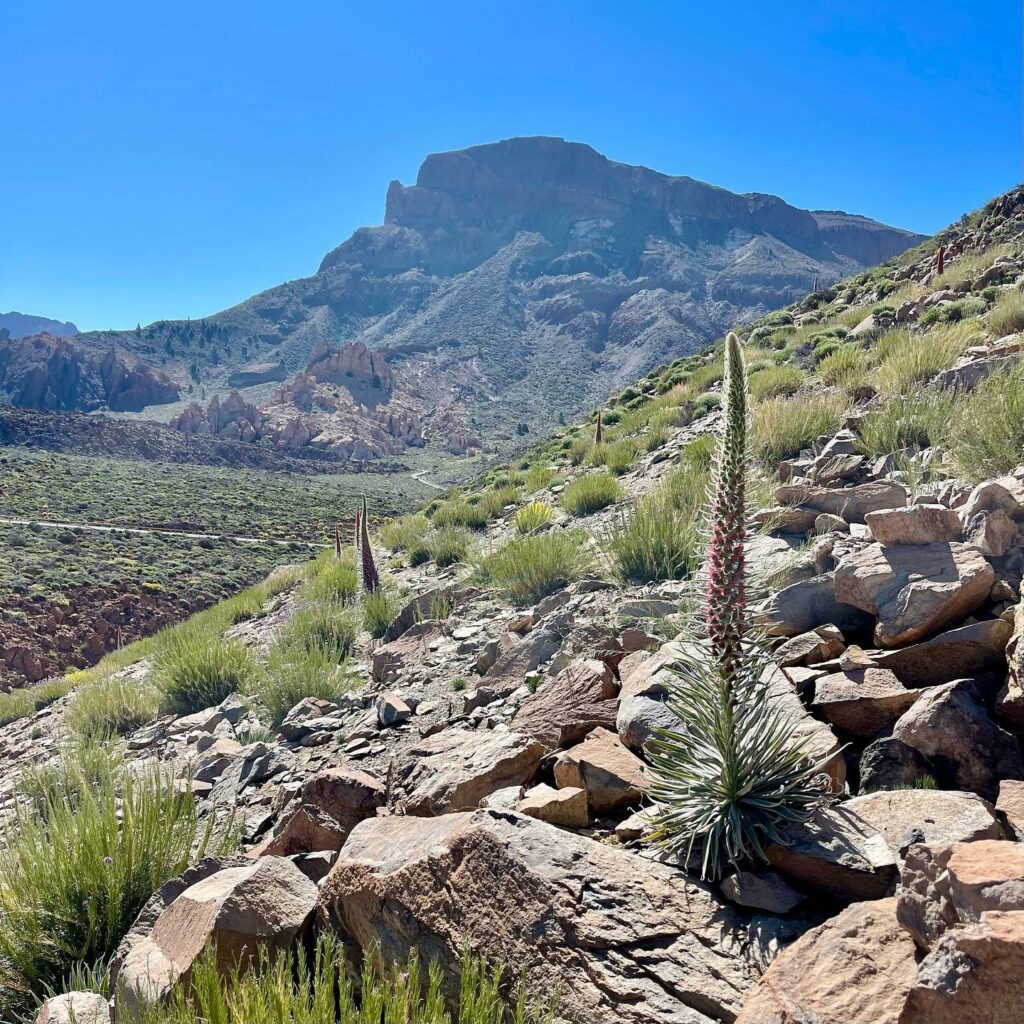 Mount Teide 2