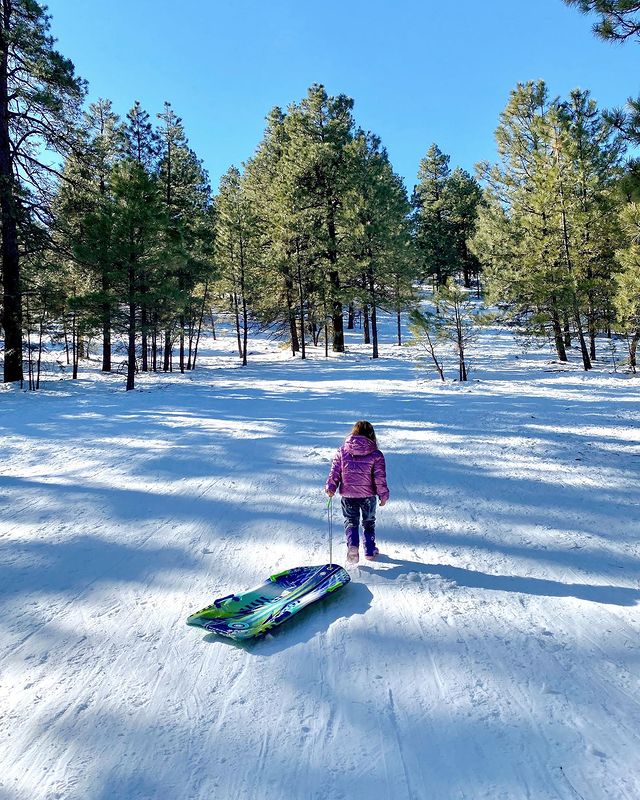 Oak Hill Snow Play Area 2