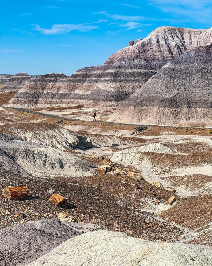 Petrified Forest National Park 1