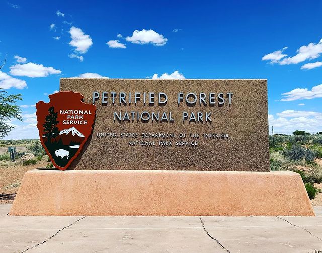 Petrified Forest National Park 2