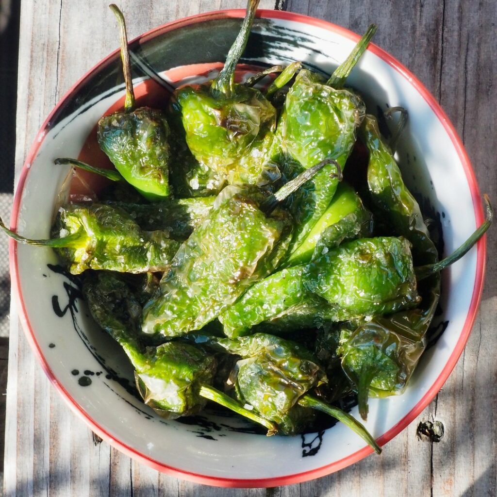 Pimientos de Padron 1