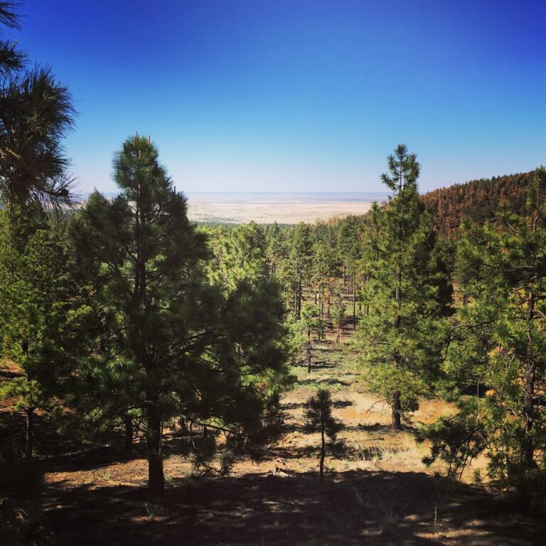 Explore the White Mountains of Arizona: My Guidebook with Map ...