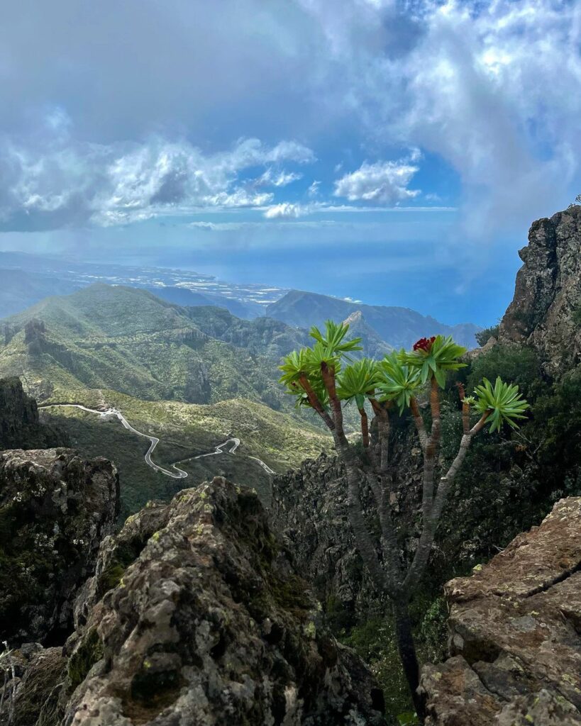 Teno Rural Park 2