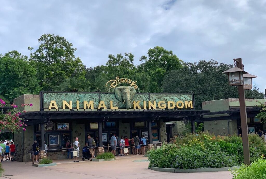 Walt Disney World Animal Kingdom 3