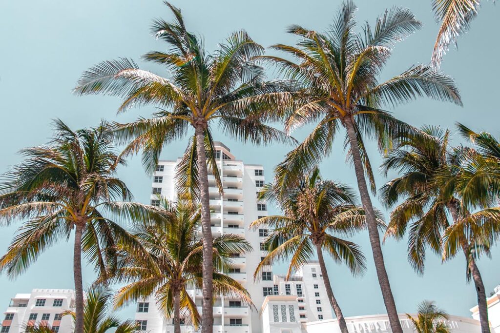 44 Ways to Experience Florida Like a Local