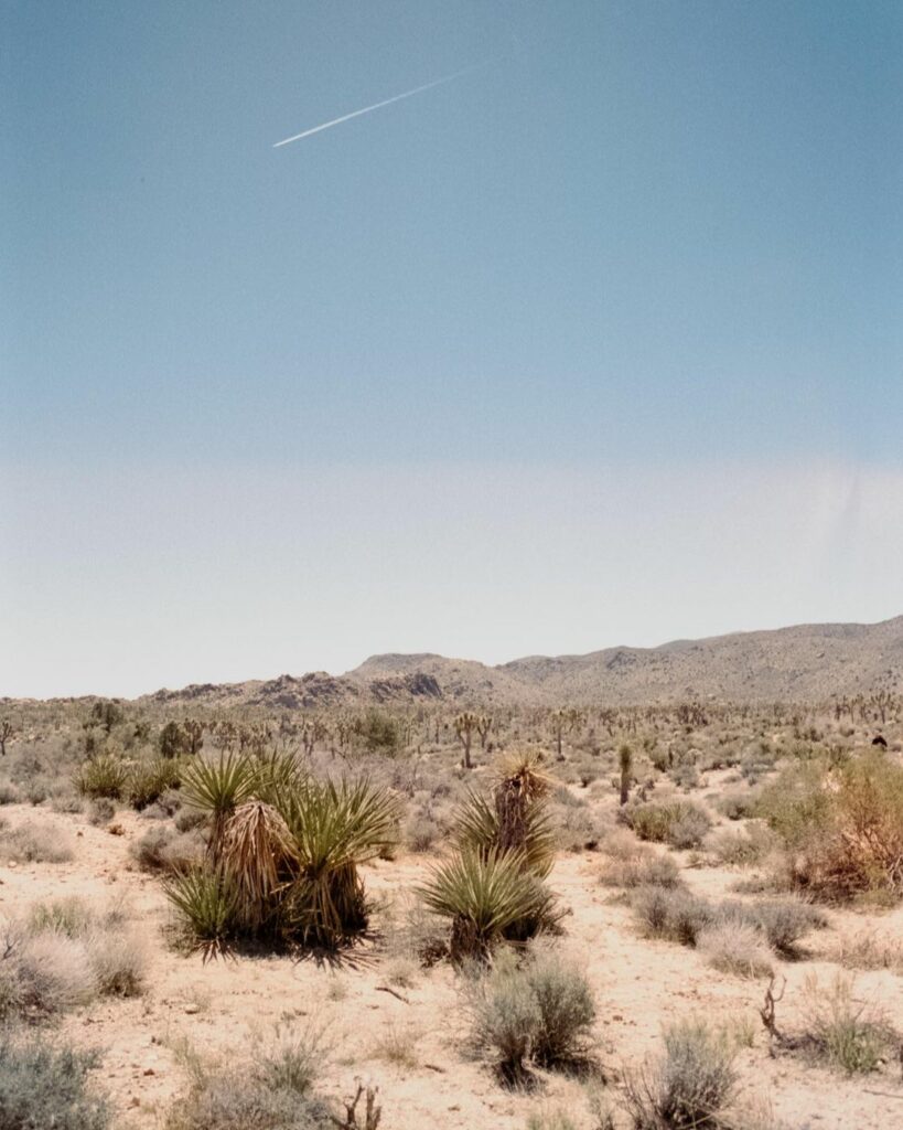 Joshua Tree National Park-2