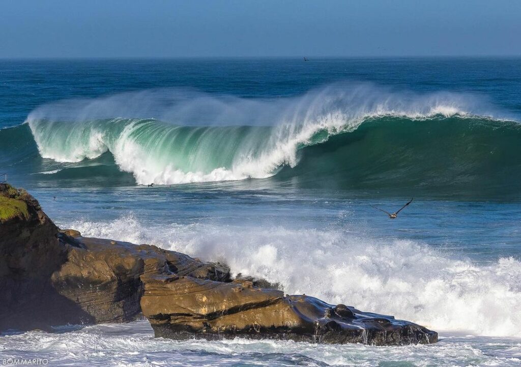 La Jolla Cove-1