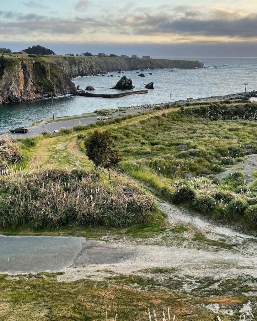 Noyo Headlands Park Trail-1