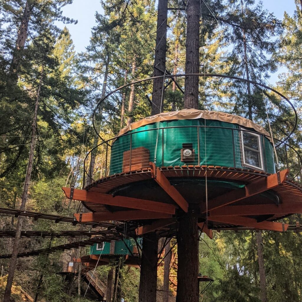 Sonoma Treehouse Adventures-3