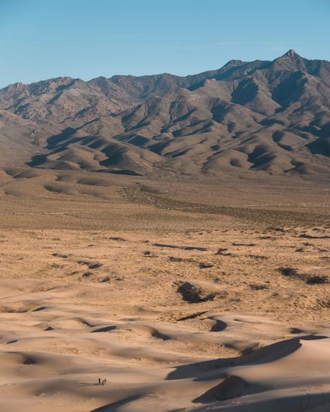 Mojave National Preserve-3