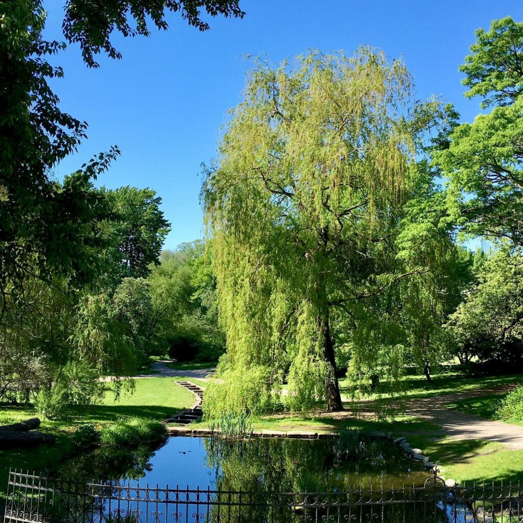 Oslo Botanic Garden-1