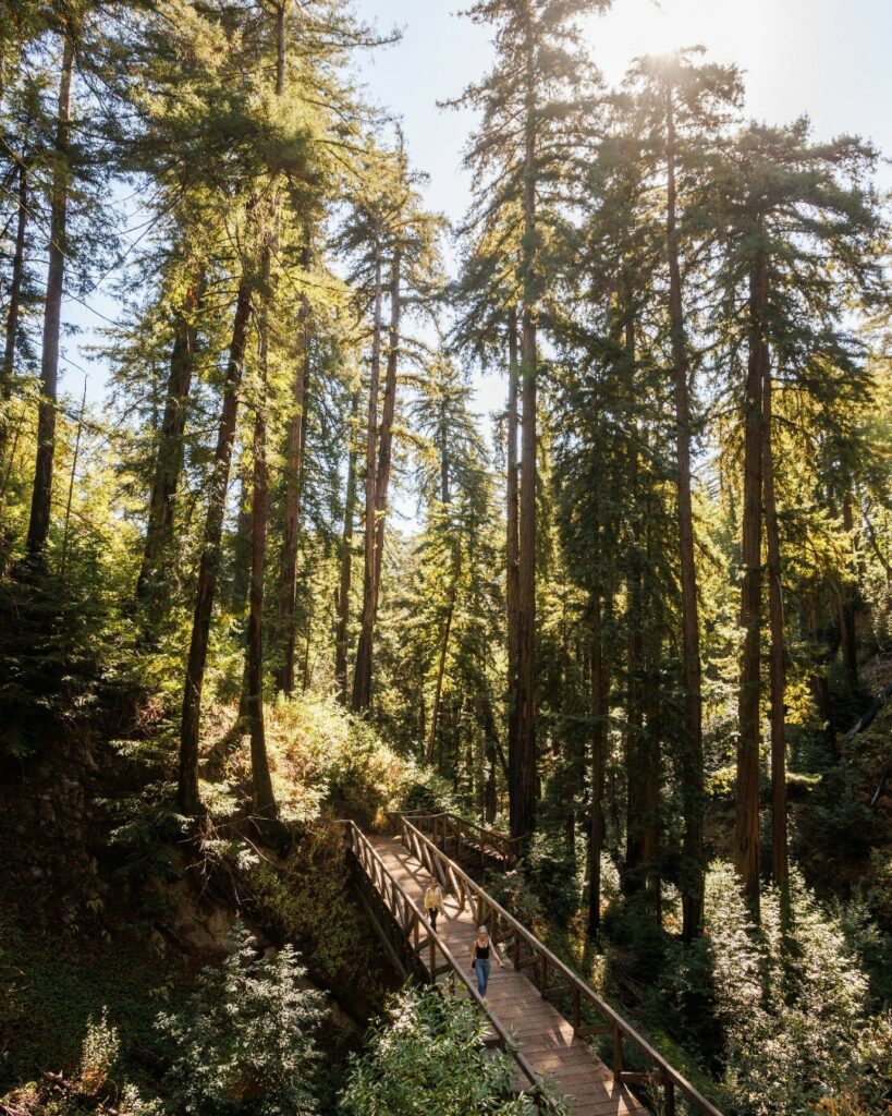 Pfeiffer Big Sur State Park