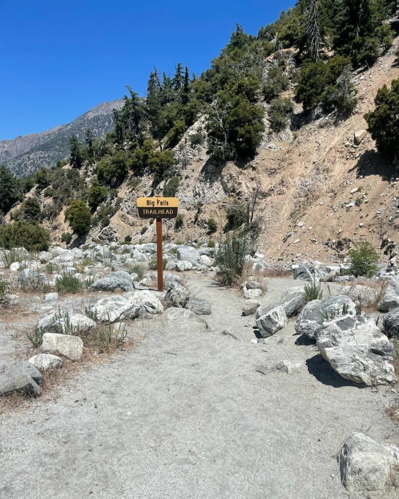 San Bernardino National Forest