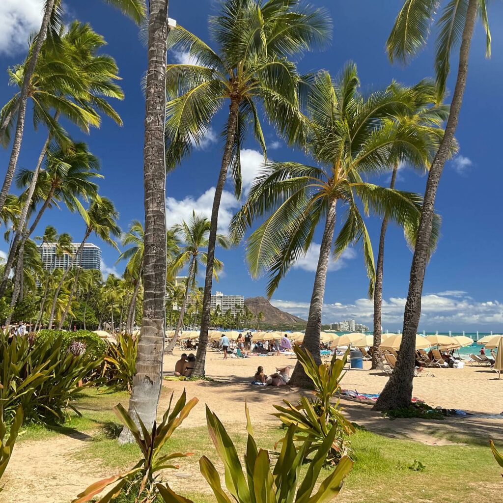 Waikiki Beach