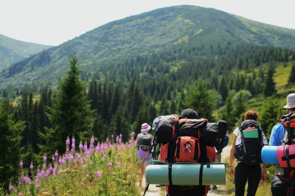 Group of hikers