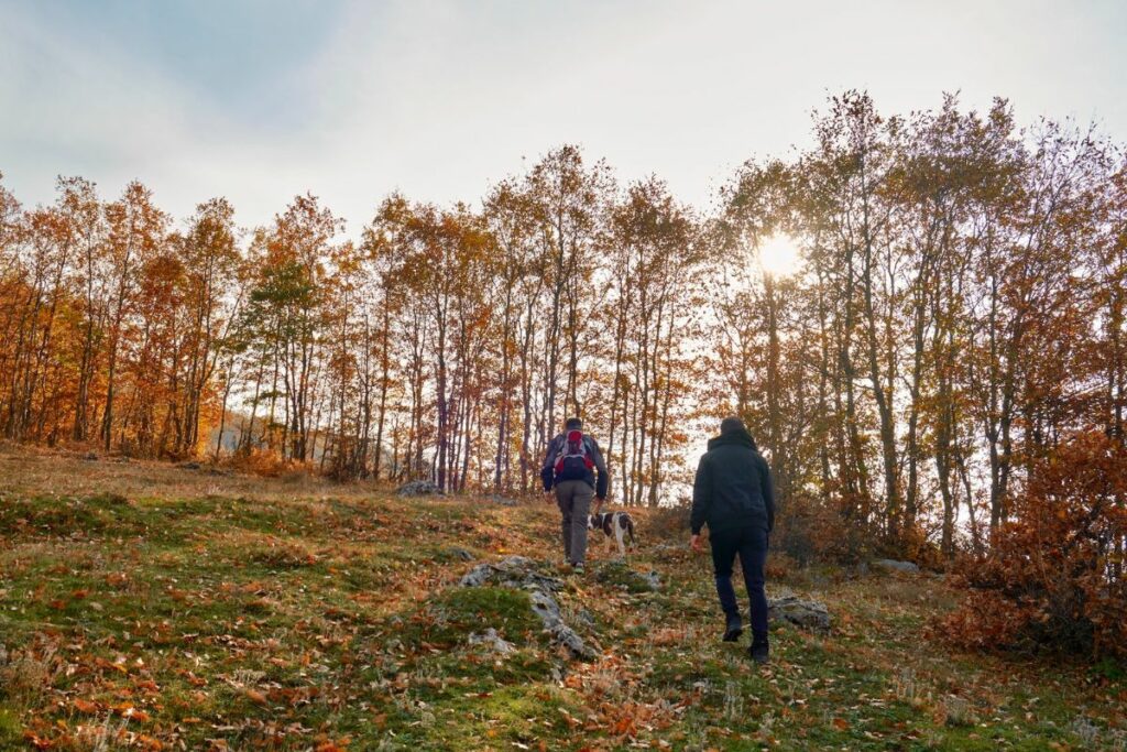 Hiking with pet