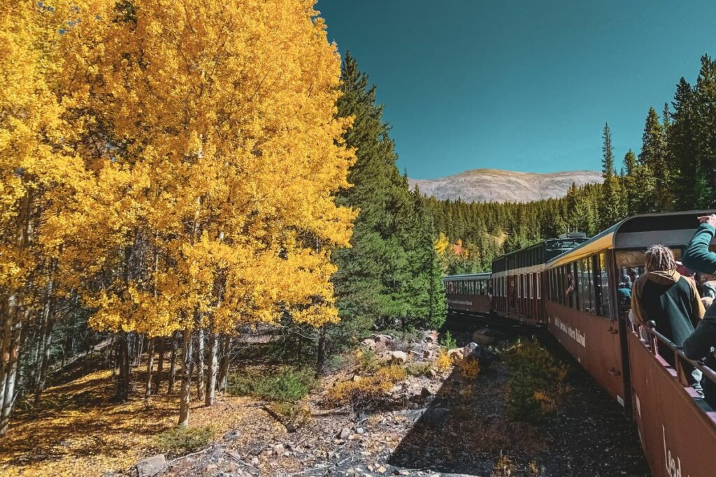 Train ride during fall